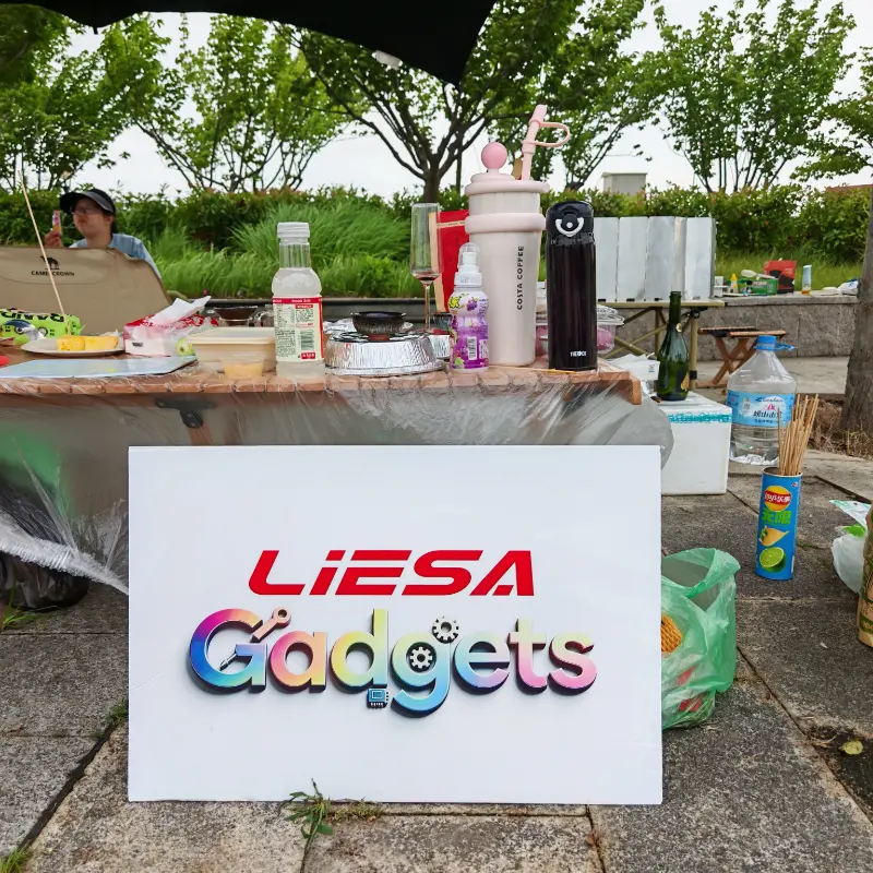 LIESA गैजेट्स ने वैश्विक सफाई उपकरण व्यवसाय के लिए टीम को एकजुट करने के लिए आउटडोर कैम्पिंग टीम बिल्डिंग का आयोजन किया